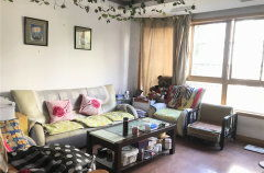 上海世纪雅苑房价,揭秘高端住宅区的投资潜力与居住价值