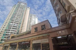 广州一手房,价格走势、区域分布与政策影响解析