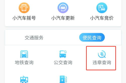 深圳市车辆违章查询,便捷服务助您掌握行车安全